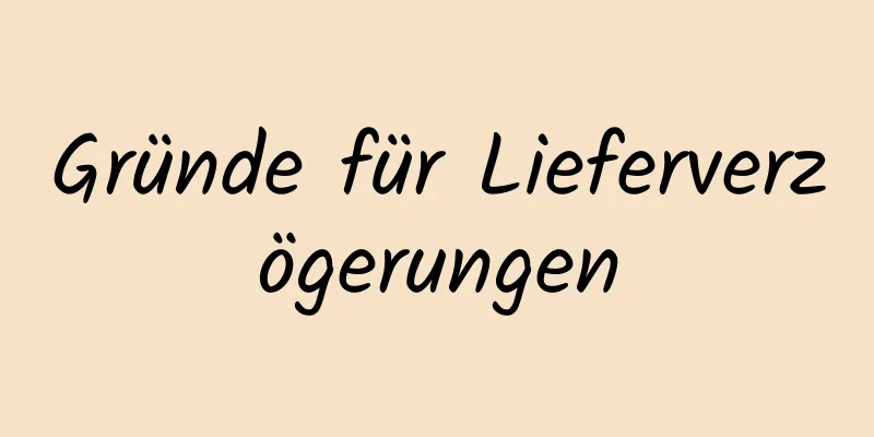 Gründe für Lieferverzögerungen