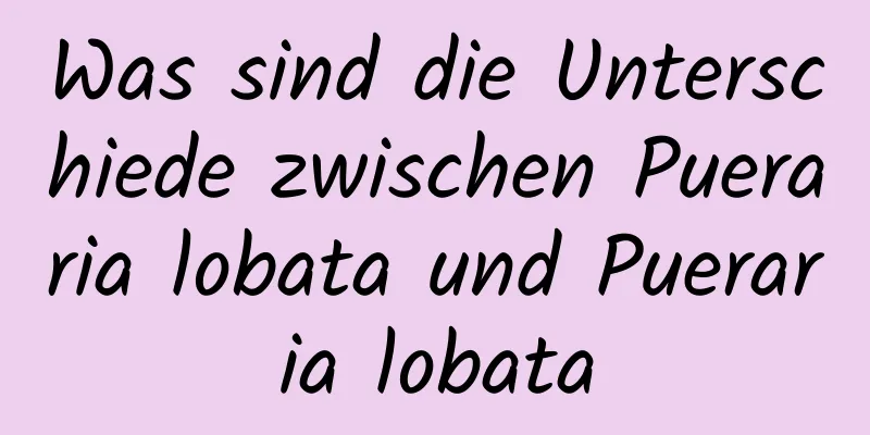 Was sind die Unterschiede zwischen Pueraria lobata und Pueraria lobata