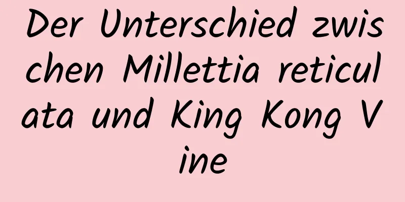 Der Unterschied zwischen Millettia reticulata und King Kong Vine