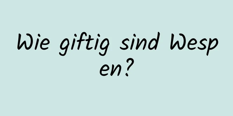 Wie giftig sind Wespen?