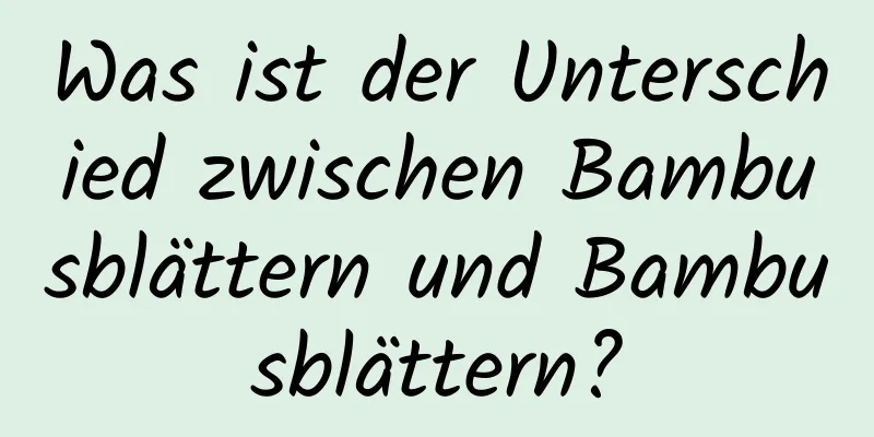 Was ist der Unterschied zwischen Bambusblättern und Bambusblättern?