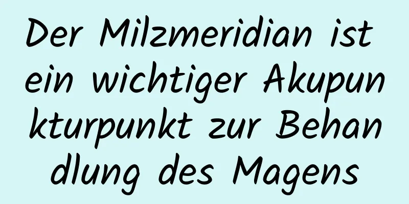 Der Milzmeridian ist ein wichtiger Akupunkturpunkt zur Behandlung des Magens