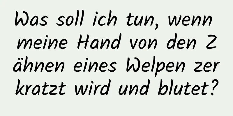 Was soll ich tun, wenn meine Hand von den Zähnen eines Welpen zerkratzt wird und blutet?