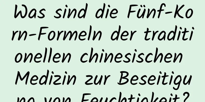 Was sind die Fünf-Korn-Formeln der traditionellen chinesischen Medizin zur Beseitigung von Feuchtigkeit?