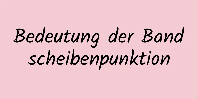 Bedeutung der Bandscheibenpunktion