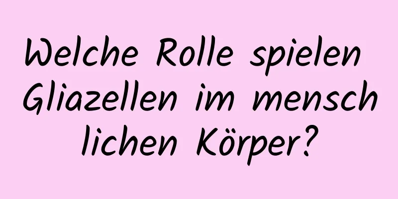 Welche Rolle spielen Gliazellen im menschlichen Körper?