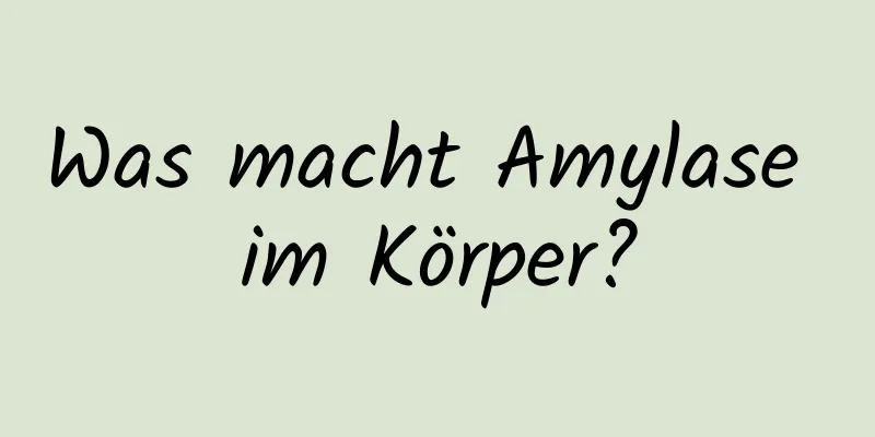 Was macht Amylase im Körper?