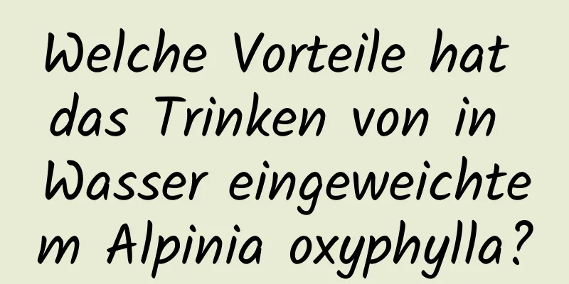 Welche Vorteile hat das Trinken von in Wasser eingeweichtem Alpinia oxyphylla?