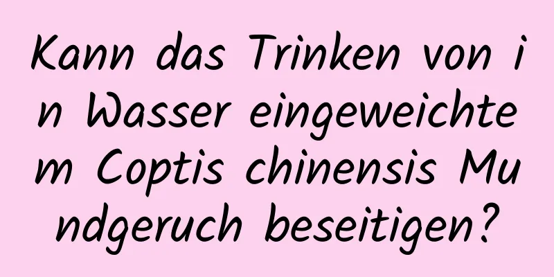 Kann das Trinken von in Wasser eingeweichtem Coptis chinensis Mundgeruch beseitigen?