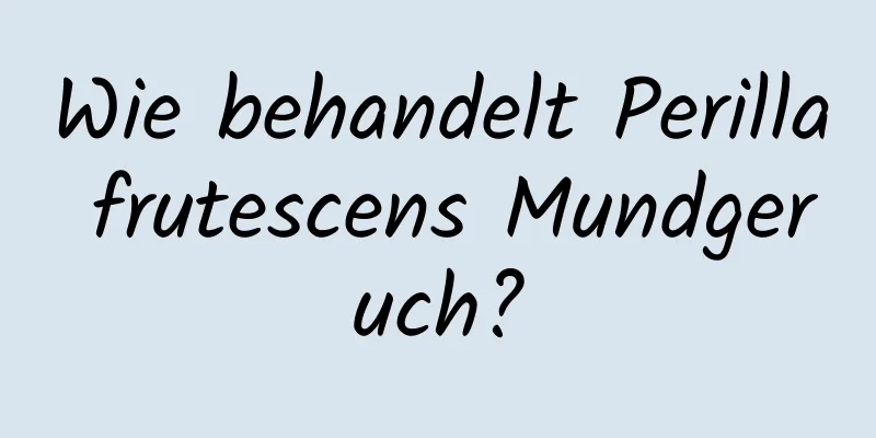 Wie behandelt Perilla frutescens Mundgeruch?