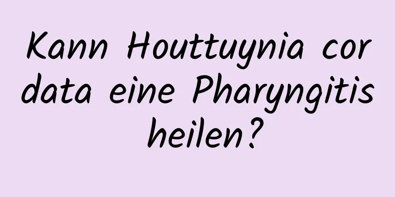 Kann Houttuynia cordata eine Pharyngitis heilen?