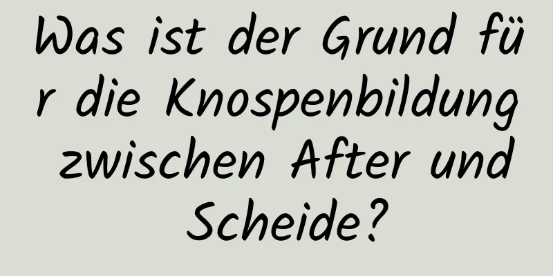 Was ist der Grund für die Knospenbildung zwischen After und Scheide?