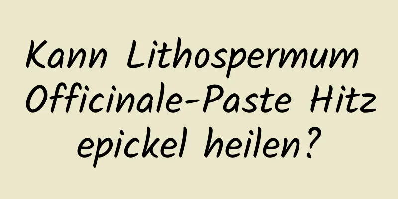 Kann Lithospermum Officinale-Paste Hitzepickel heilen?