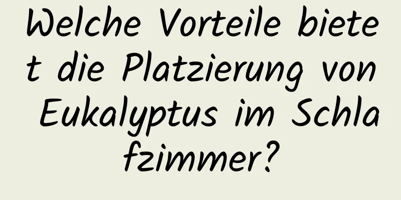 Welche Vorteile bietet die Platzierung von Eukalyptus im Schlafzimmer?