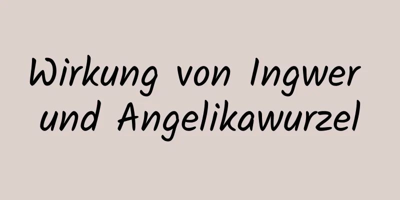 Wirkung von Ingwer und Angelikawurzel