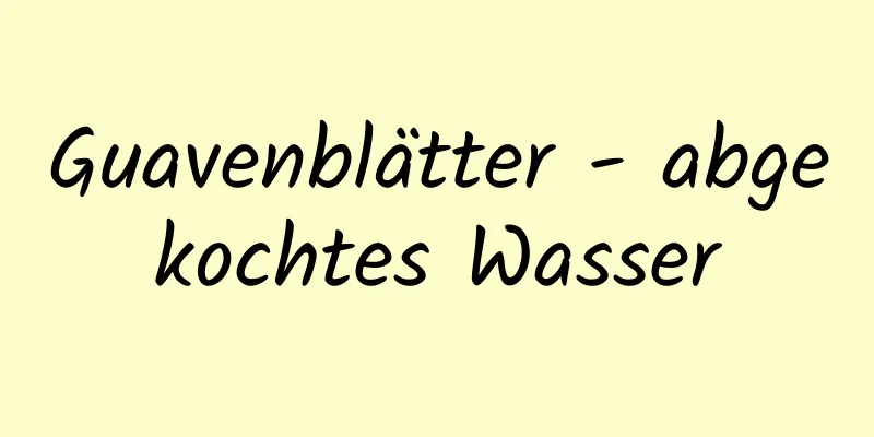 Guavenblätter - abgekochtes Wasser