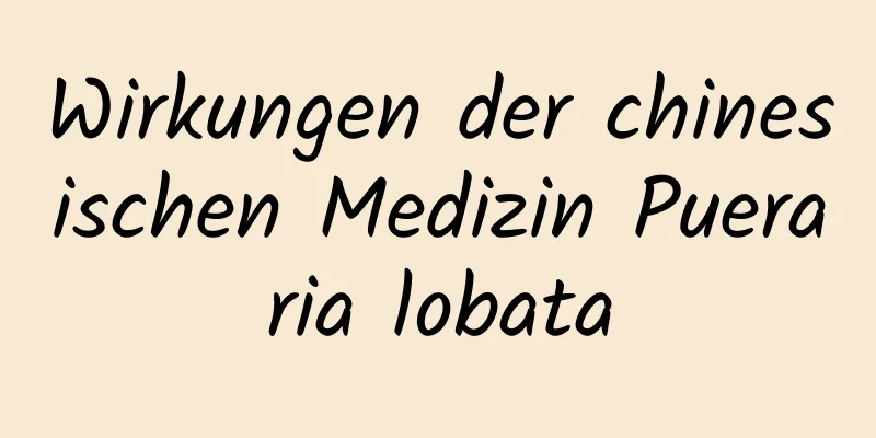 Wirkungen der chinesischen Medizin Pueraria lobata