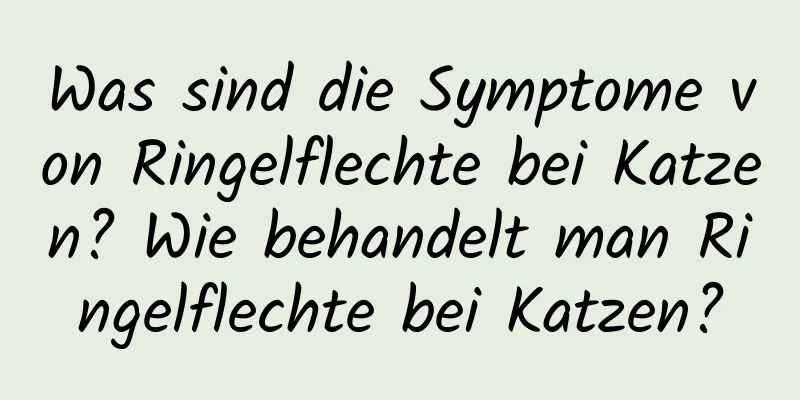 Was sind die Symptome von Ringelflechte bei Katzen? Wie behandelt man Ringelflechte bei Katzen?