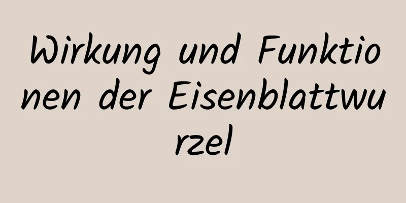 Wirkung und Funktionen der Eisenblattwurzel