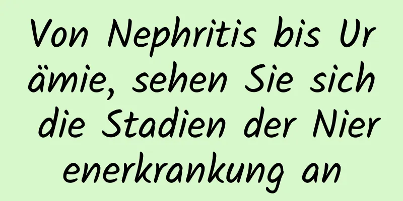 Von Nephritis bis Urämie, sehen Sie sich die Stadien der Nierenerkrankung an