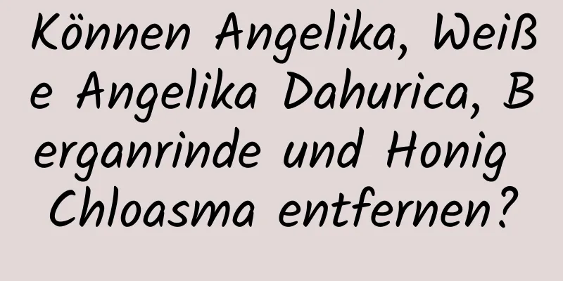 Können Angelika, Weiße Angelika Dahurica, Berganrinde und Honig Chloasma entfernen?