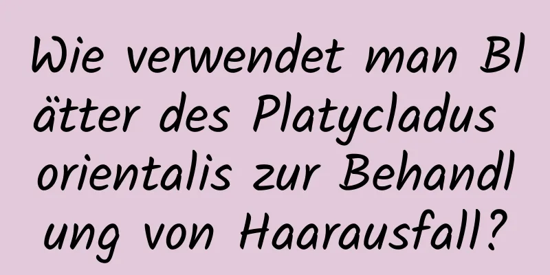 Wie verwendet man Blätter des Platycladus orientalis zur Behandlung von Haarausfall?