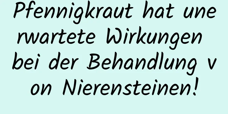 Pfennigkraut hat unerwartete Wirkungen bei der Behandlung von Nierensteinen!