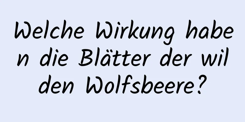 Welche Wirkung haben die Blätter der wilden Wolfsbeere?