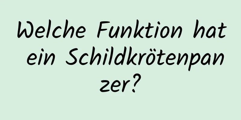 Welche Funktion hat ein Schildkrötenpanzer?