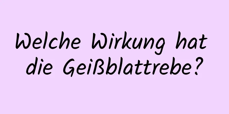 Welche Wirkung hat die Geißblattrebe?