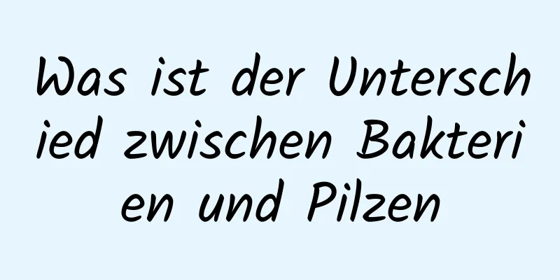 Was ist der Unterschied zwischen Bakterien und Pilzen