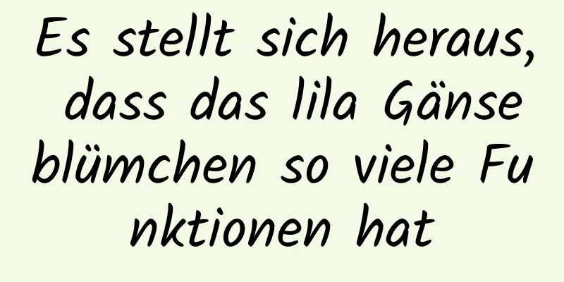 Es stellt sich heraus, dass das lila Gänseblümchen so viele Funktionen hat