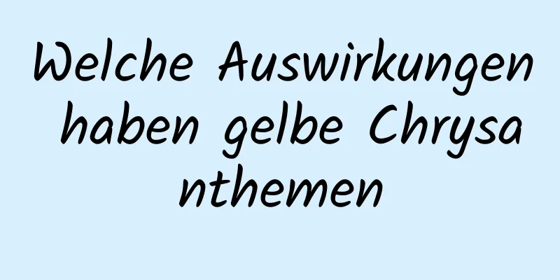 Welche Auswirkungen haben gelbe Chrysanthemen