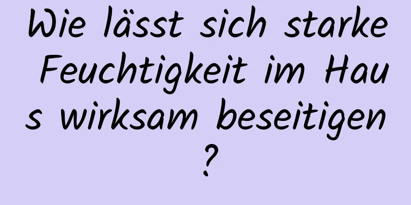 Wie lässt sich starke Feuchtigkeit im Haus wirksam beseitigen?