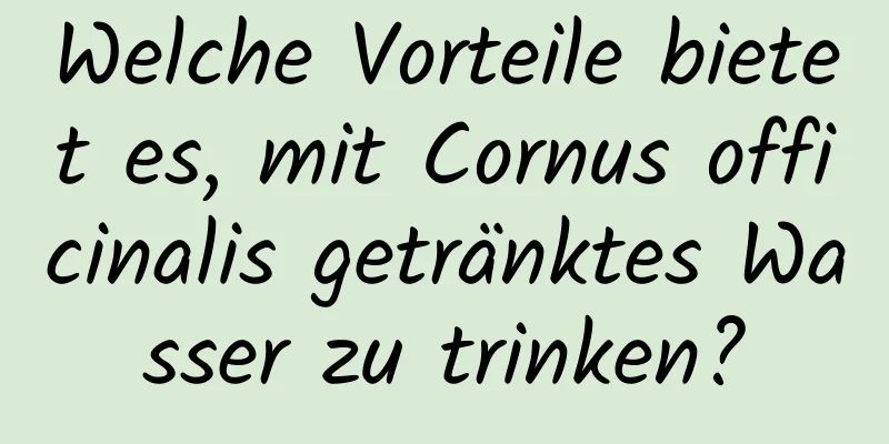 Welche Vorteile bietet es, mit Cornus officinalis getränktes Wasser zu trinken?