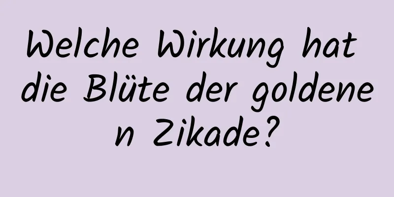 Welche Wirkung hat die Blüte der goldenen Zikade?