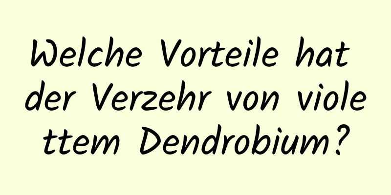 Welche Vorteile hat der Verzehr von violettem Dendrobium?