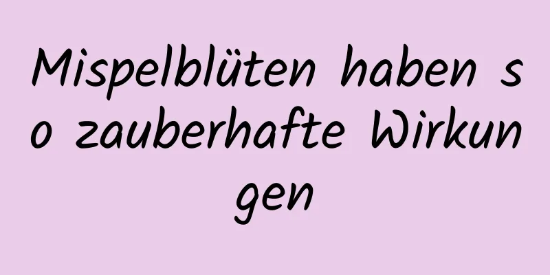 Mispelblüten haben so zauberhafte Wirkungen