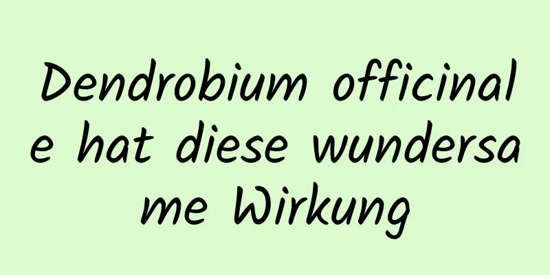 Dendrobium officinale hat diese wundersame Wirkung