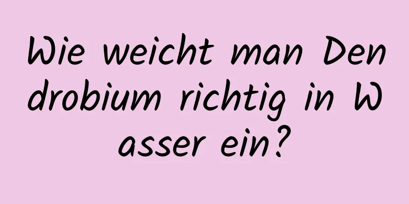 Wie weicht man Dendrobium richtig in Wasser ein?