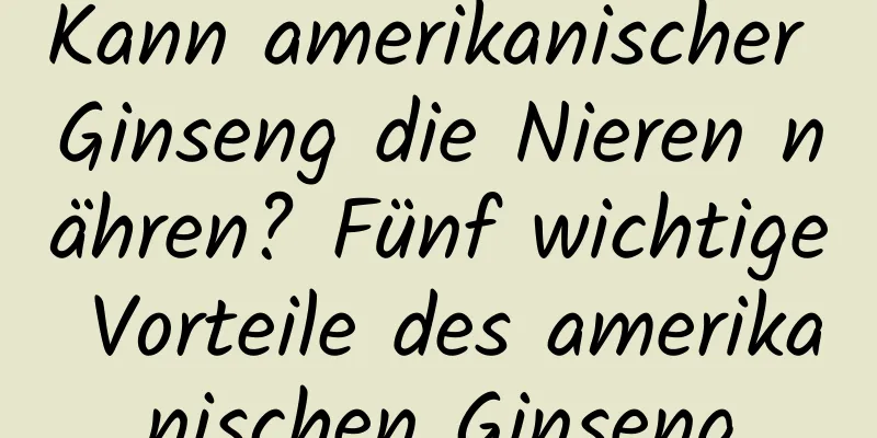 Kann amerikanischer Ginseng die Nieren nähren? Fünf wichtige Vorteile des amerikanischen Ginseng