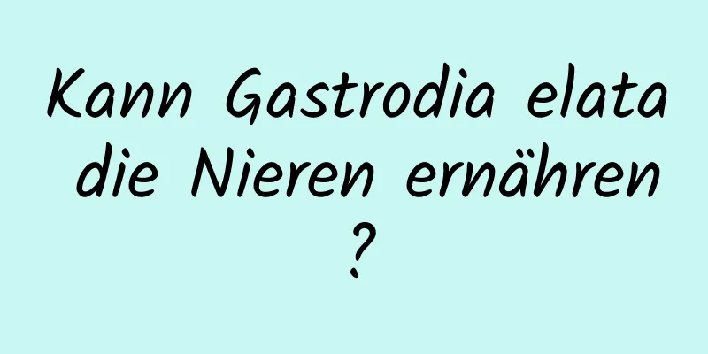 Kann Gastrodia elata die Nieren ernähren?