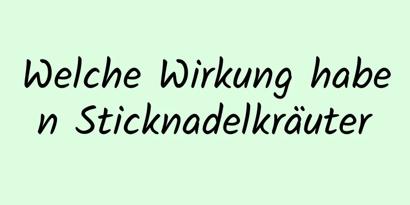 Welche Wirkung haben Sticknadelkräuter