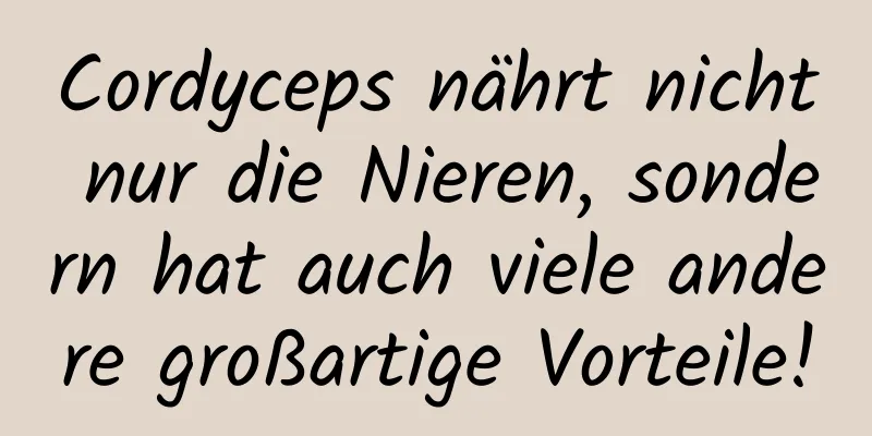 Cordyceps nährt nicht nur die Nieren, sondern hat auch viele andere großartige Vorteile!