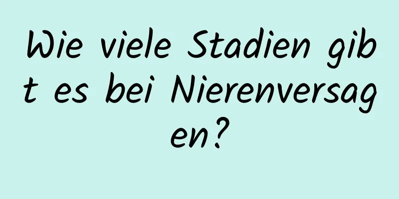 Wie viele Stadien gibt es bei Nierenversagen?