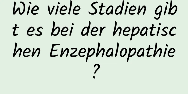 Wie viele Stadien gibt es bei der hepatischen Enzephalopathie?