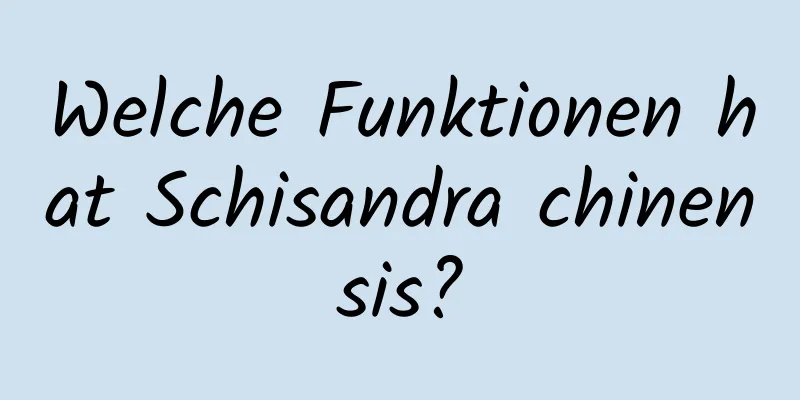 Welche Funktionen hat Schisandra chinensis?