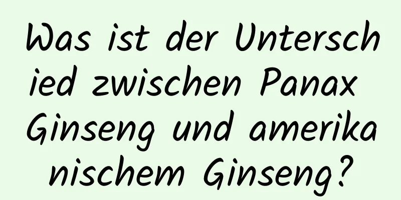 Was ist der Unterschied zwischen Panax Ginseng und amerikanischem Ginseng?