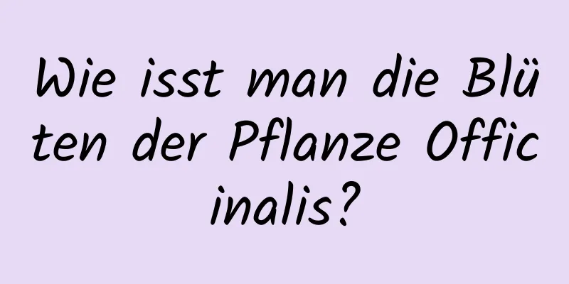 Wie isst man die Blüten der Pflanze Officinalis?