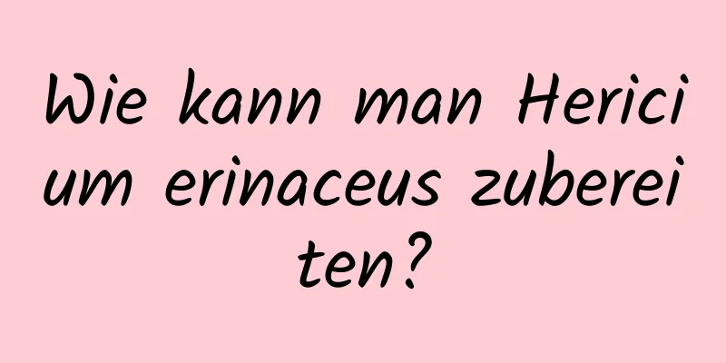 Wie kann man Hericium erinaceus zubereiten?